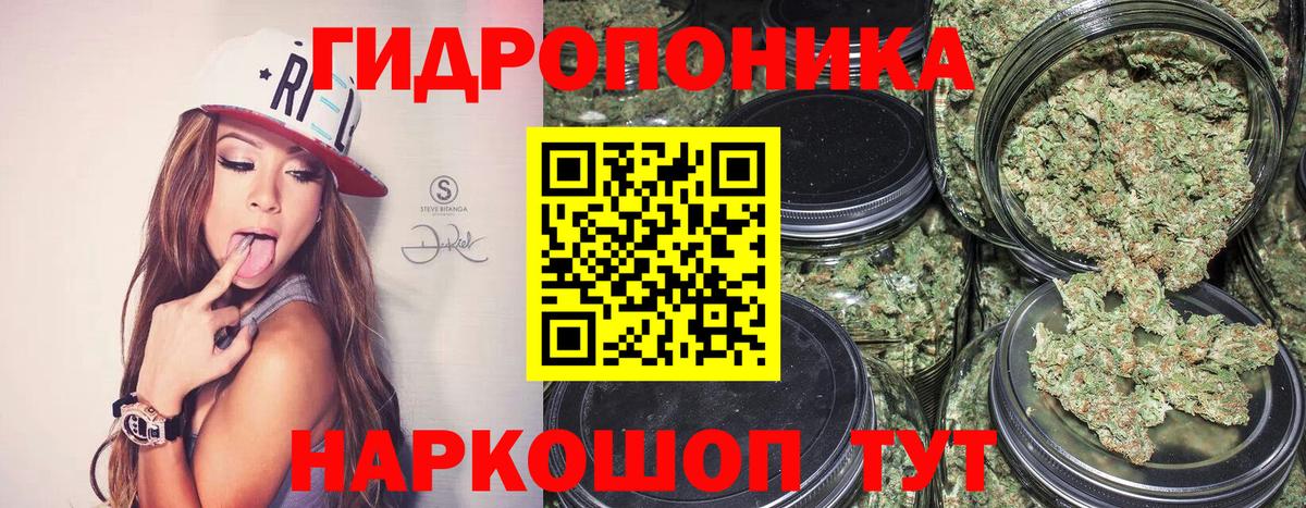Бошки марихуана SATIVA & INDICA  Бошки Шишки AK-47  Вход с VPN  Каннабис гибрид  Дагестанские Огни 